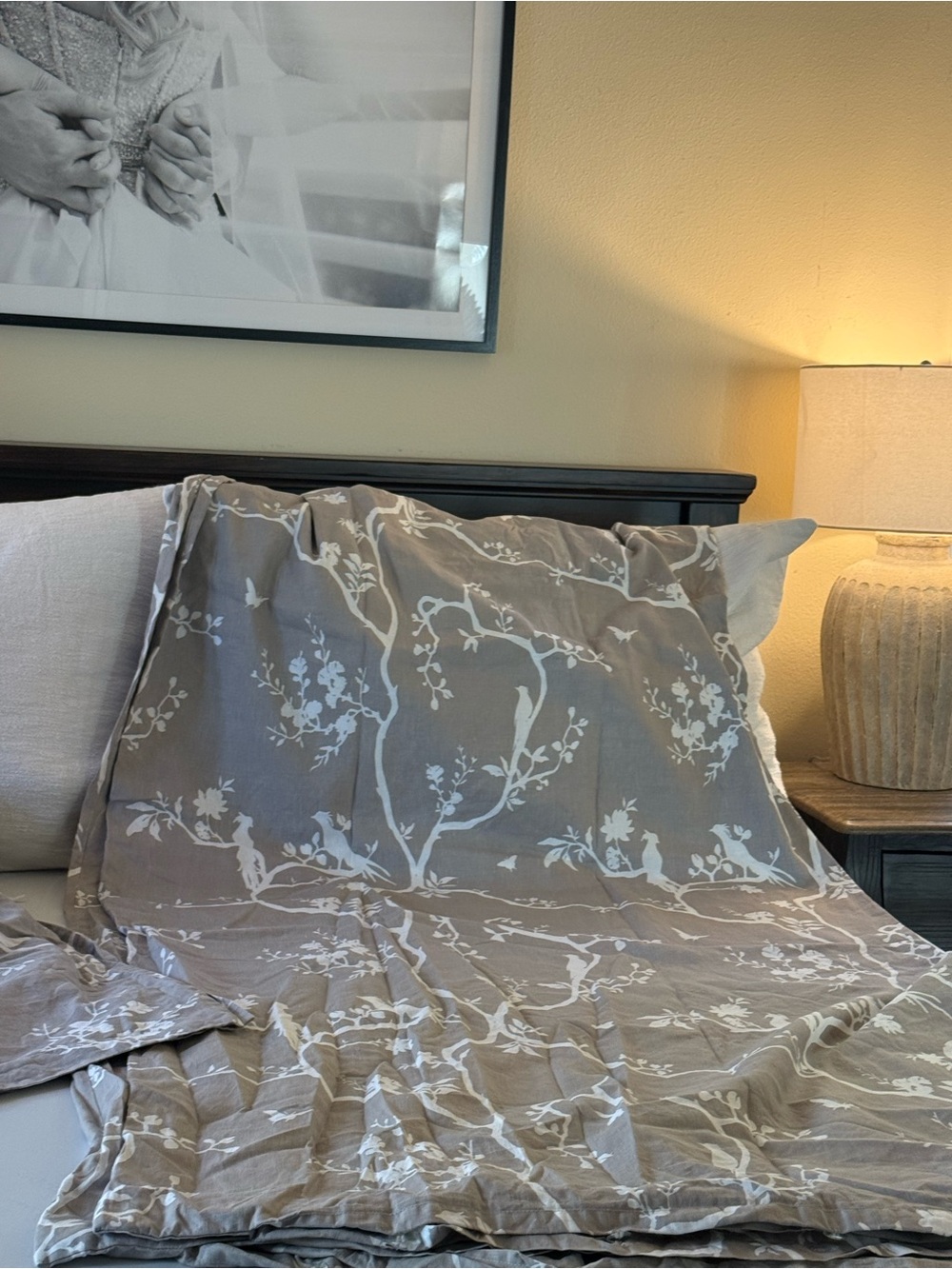 Ballard designs queen linen duvet cover and 1 euro sham